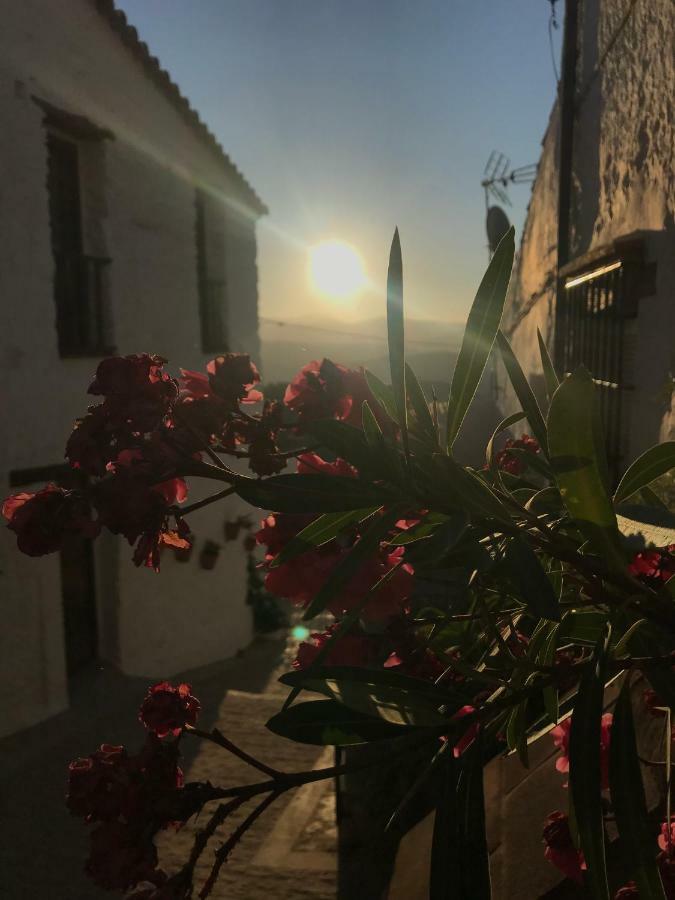 Casa Moraleda ξενώνας Benalauría Εξωτερικό φωτογραφία